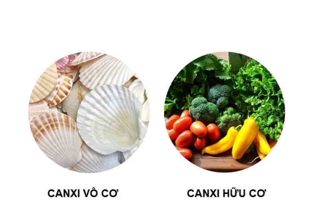 So sánh Canxi hữu cơ với canxi vô cơ