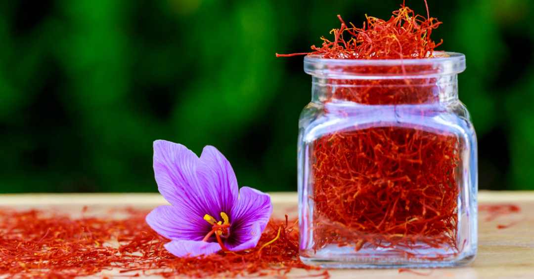 Saffron Konj có phần cuống nhuỵ màu vàng