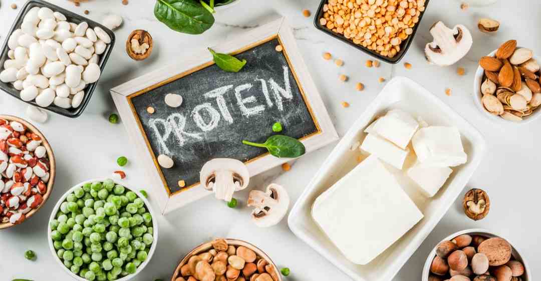 Các loại thực phẩm giàu protein tốt cho sức khỏe cần biết