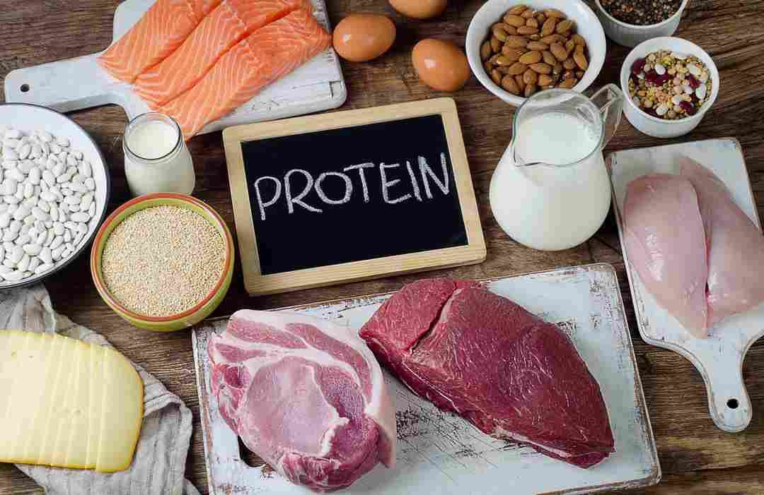 Những sản phẩm giàu protein từ động vật