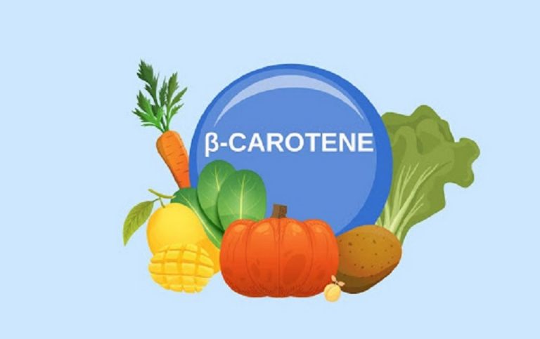 Tiền chất của vitamin A chính là Beta Caroten