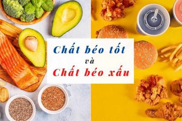 Các loại chất béo có lợi