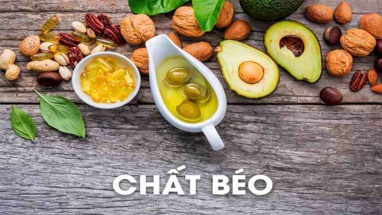 Chất béo là năng lượng cần thiết cho cơ thể